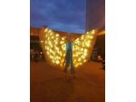 Spettacolo giocoleria led luminosa spettacolo  farfalle luminose 3478497587